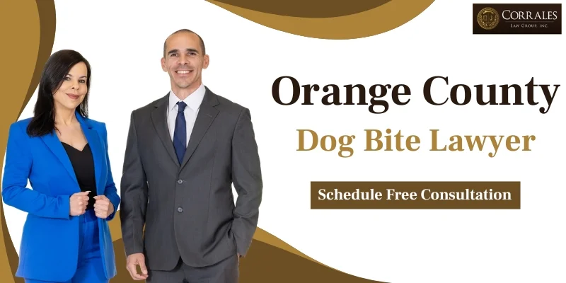 best dog bite lawyer in orange county